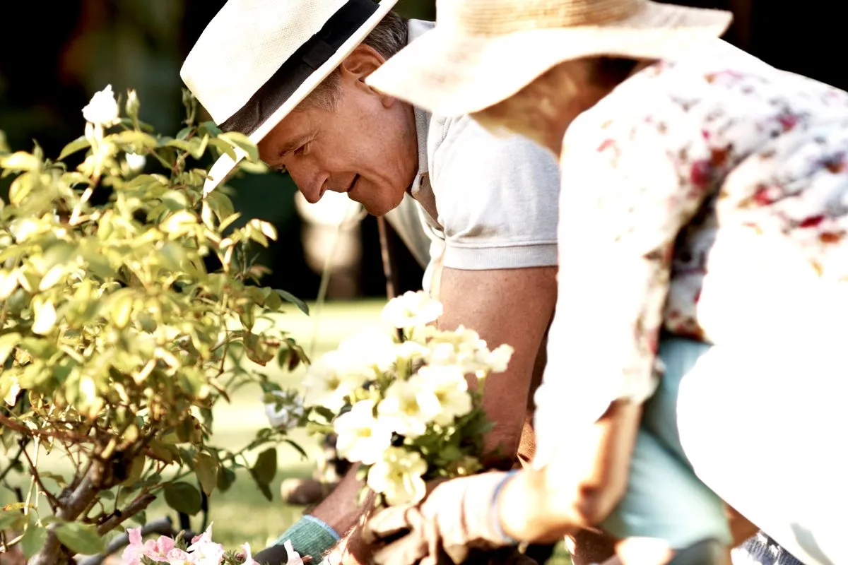 Two people gardening together in the sun